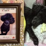 [모두드루와] 송해나, 안타까운 소식 전했다 "너무 보고 싶어"