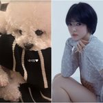 "내 사랑"..송혜교 품에 안겨, 애정 만끽