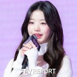 '장원영 악플러' 신상 턴 13세 소녀, 中 <b>바이두</b> 부사장 딸이었다