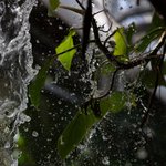 니네 추구<b>미대</b>로 보정해봐