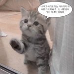 나랑 <b>사겨</b>