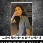 김새론 유족, 집 데이트 영상 공개…"김수현 얼굴 영상도 있다"