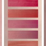 [댓글부탁해] 퍼컬 <b>여쿨라</b> 진단받았는데