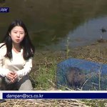 아 이런거 <b>언제</b> 안웃기지