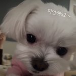 율무 <b>아가리</b> 똥~~내