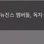 <b>민천지들</b> 법원 폭도라도 일으켜야 되는 거 아님?