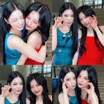 <b>소개</b>할게 제왑 고양이들