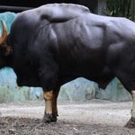 곤충보다 생산성이 높은 미래의 완전 식품.jpg