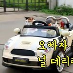 [하고싶은말] 차 5개 뽑았다