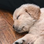 [드루와] 낼 썸남 만나는데 코디 추반좀