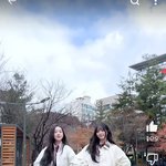 김채원 다리 길고 <b>개마름</b>