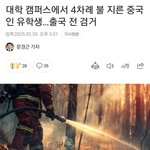 <b>산불</b> 계속 나는 거 중국인이나 간첩 짓일 듯