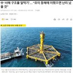 이정도면 어<b>족이</b>한테 줄 서야대나?