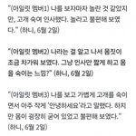 하니는 무시해라고 듣지 않았음 이건 하니<b>피셜</b> 사실임