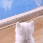 <b>입이</b>