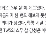 <b>투어스</b>팬들아