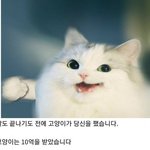 <b>오빠</b> 내가 <b>빵</b>사왔어 <b>빵</b>먹어