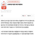 버니즈들 어떡해