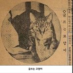 얘드라 <b>ai</b>로 중세로판이나 좀 만들어줘