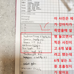 [죽고싶어요] 질문반려<b>동물</b> 치료 중 심정지 발생, 의료 과실일까요...