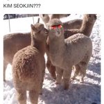 [<b>방탄소년단</b>] ㅋㅋㅋㅋㅋㅋㅋ