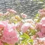 이시영 유튜브 ㅋㅋㅋ<b>배너</b>