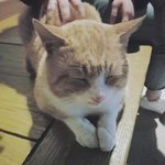 카트드리프트섭<b>종안</b>함?