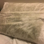 <b>베개</b>속에 이상한게 있음..