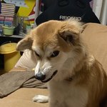 [댓글부탁해] 아니 이 짤 <b>별로</b>냐…?ㅠ