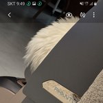 [하고싶은말] 바디프랜드와 소피아엘렌드 <b>청부</b>살인자살몰이