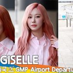  핑크빛 엔젤~ 봄꽃<b>애리</b>가 아름답게 피었습니다 (출국)[뉴스엔TV]