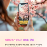 봄에 벚꽃<b>놀이</b> 가시나요?