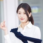 국민 첫사랑 <b>닉값</b> 레전드였던 수지 공항짤