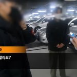 진정한 <b>수컷들</b>의 세계다