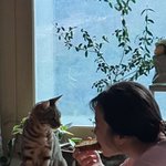 [하고싶은말] 피해자를 조현병몰이 가해자몰이 작작해