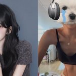 '49㎏ 감량' 최준희 "'<b>가시</b>' 몸매 추구, 엑소시스트가 따로...