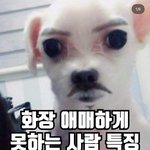 [댓글부탁해] 묘하게 ㅅㅎㅂ <b>닮음</b>