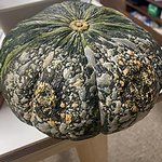 대기업 S사 에서 절대 식품 <b>주문</b>하지 마세요 (사진있음)