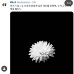 제니 톡선 보낸 애야 글삭튀하면 단 줄 아냐