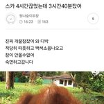 <b>말차</b> 진짜 맛없음