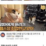 [댓글부탁해] 유튜브 지금 나만 <b>이럼</b>?