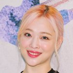 이정섭 감독, 故 설리 '리얼' <b>노출신</b>에 입 열었다 "내 탓 1%도...