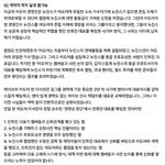 팀버니즈는 팀민희진즈 아닌가