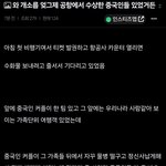 [방탈죄송] 소름돋는 인천공항 중국인 소매치기.<b>jpg</b>