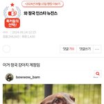 뉴진스 사태에서 <b>태세</b>전환 제일 심한 팬덤