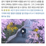 <b>폭싹</b> 속았수다 때문에 국뽕이 폭발한 중국