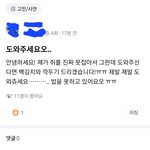 당근에 <b>쥐</b> 잡아달라는글