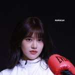 온갖 스포츠물 로망 실현 중인 안유진 팬들