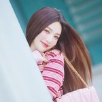 ‘출근길에서 찍는 청량 화보 비주얼’ (<b>동물</b>농장 출근길) [HD포토]