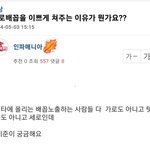 <b>세로</b>배꼽을 이쁘게 쳐주는 이유가 뭔가요??
